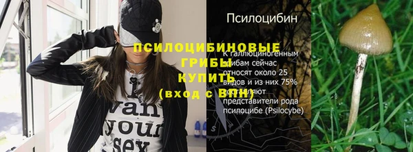 прущий лед Алексин