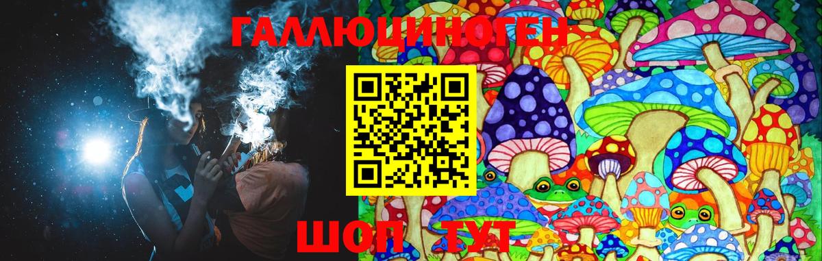 Абакан  Псилоцибиновые грибы Magic Shrooms  как найти закладки  Псилоцибиновые грибы GOLDEN TEACHER  Вход с VPN 