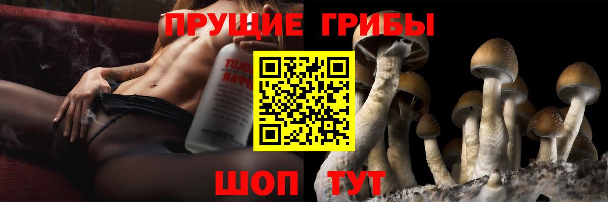 Галлюциногенные грибы прущие грибы  Вход с VPN  продажа наркотиков  Абакан 